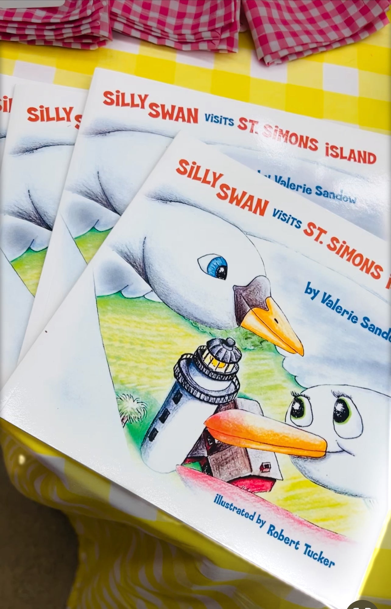 Silly Swan Visits St Simons Island Children's Book